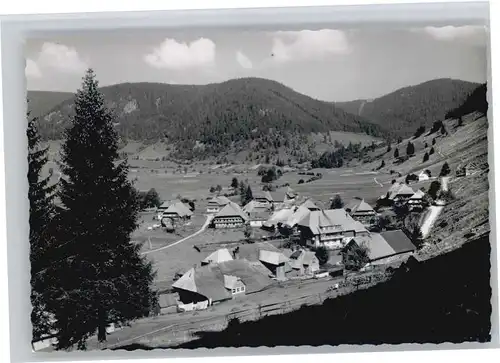 Menzenschwand Hinterdorf *