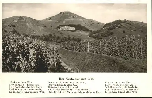 Neckarsulm Reben Scheuerberg *