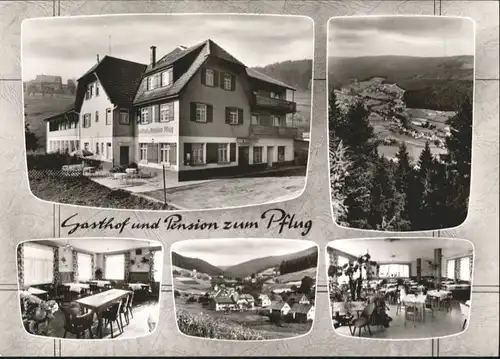 Tonbach Hotel Pension Pflug *