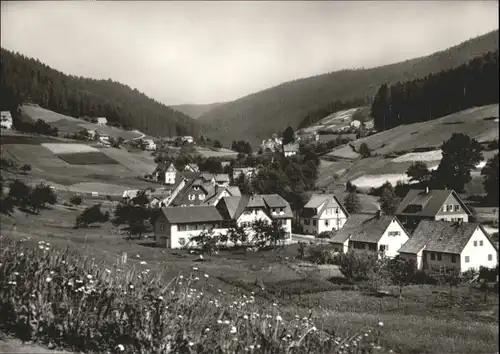 Tonbach Gasthaus Pension Pflug *