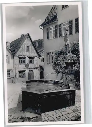 Marbach Neckar Schillers Geburtshaus Wilder Mann Brunnen *