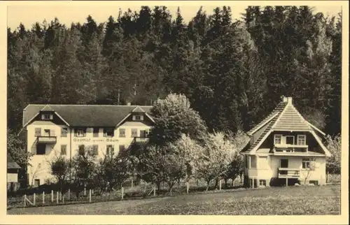 Hallwangen Gasthof Pension Gruener Baum *