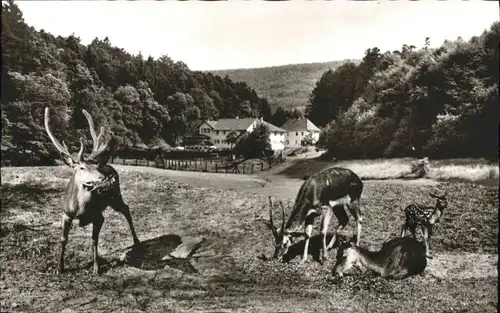 Marxzell Hotel Bergschmiede *