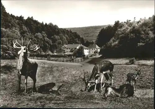 Marxzell Hotel Bergschmiede Hirschgehege *