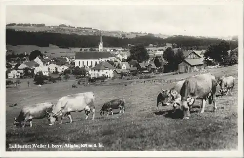 Weiler-Simmerberg Weiler Allgaeu Kuehe * / Weiler-Simmerberg /Lindau LKR