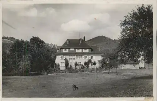 Schweigmatt Pension Alpenblick Ziege *