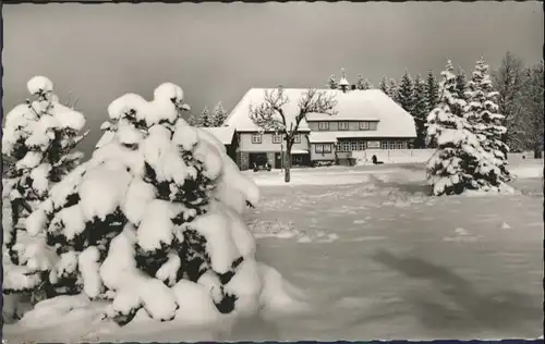 Schonach Gasthaus Wilhelmshoehe *