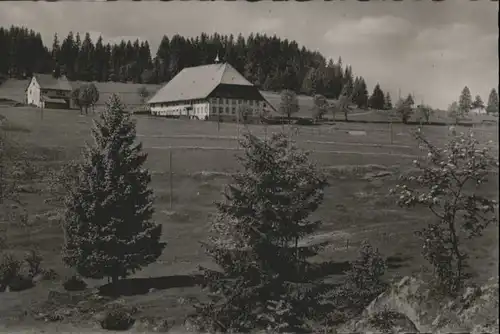 Schonach Wolfsbauernhof *