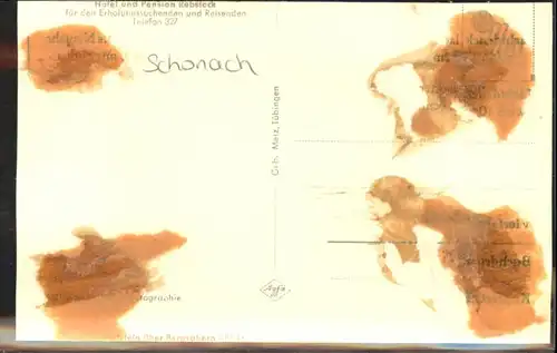 Schonach Hotel Pension Rebstock *