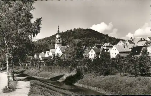 Pegnitz Schlossberg    *