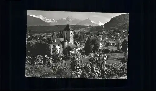 ww89171 Spiez BE Spiez Schloss Rebberg BluemlisalpAermighorn Gehrihorn Altels x Kategorie. Spiez Alte Ansichtskarten