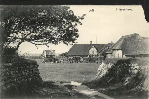 Insel Sylt Friesenhaus x