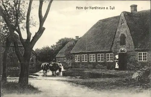 Insel Sylt Heim Nordfriesen x