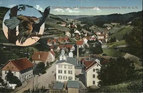 Guetenbach Vogel *