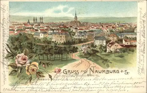 Naumburg Saale Rose