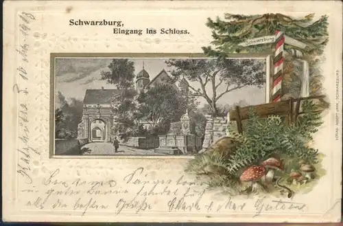 Schwarzburg Eingang ins Schloss Pilze