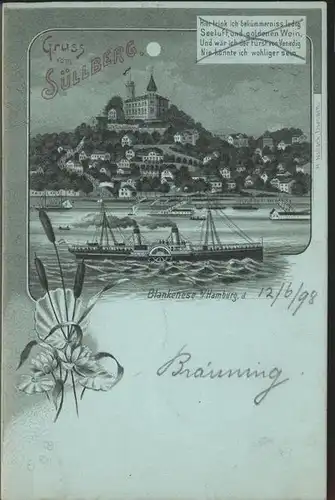 Blankenese Suellberg Seitenraddampfer