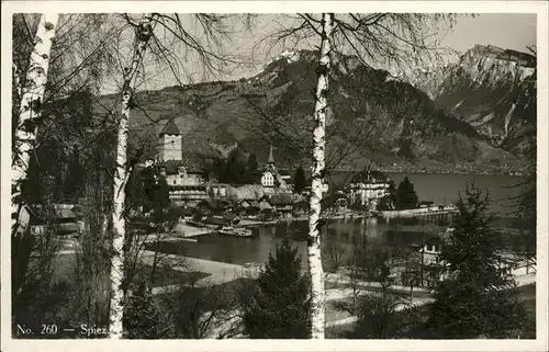 wz01494 Spiez BE Panorama Kategorie. Spiez Alte Ansichtskarten