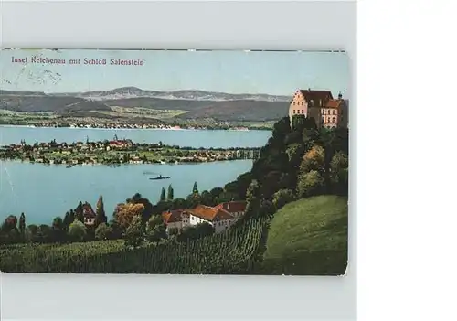 Reichenau Bodensee Schloss Salenstein Kat. Reichenau