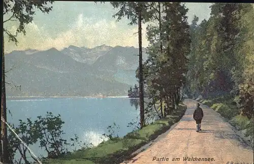 Walchensee Ufer Wanderweg Kat. Kochel a.See