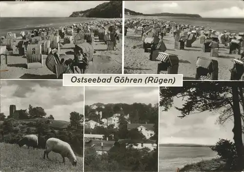 Goehren Ruegen Strandkoerbe Schafe Strand Kat. Goehren Ruegen