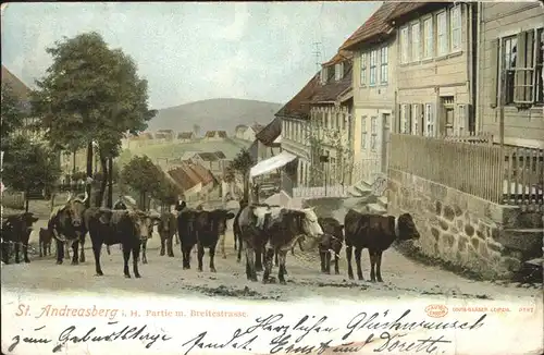 St Andreasberg Partie Breitestrasse Kuehe Kat. Sankt Andreasberg