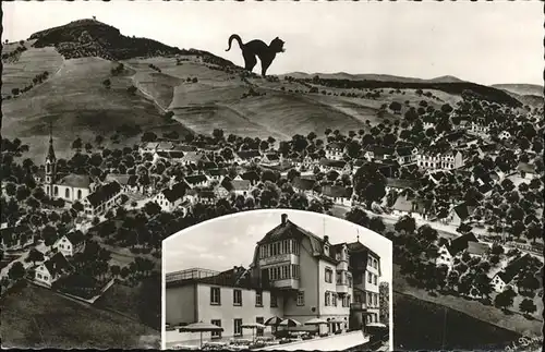 Waldkatzenbach Gasthof Erholungsheim Katzenbuckel Kat. Waldbrunn