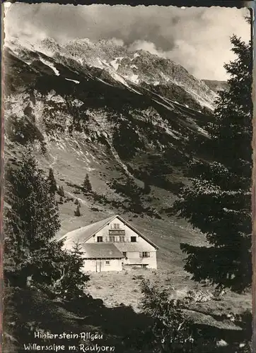 Hinterstein Bad Hindelang Willersalpe Rauhorn / Bad Hindelang /Oberallgaeu LKR