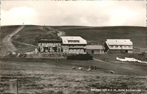 Belchen Baden Belchen Hotel Belchenhaus Kuehe * / Neuenweg /Loerrach LKR