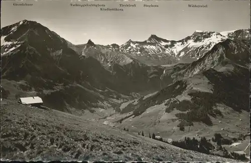 Adelboden Wildstrubel  / Adelboden /Bz. Frutigen