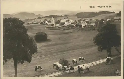 Saig Schwarzwald Totalansicht / Lenzkirch /Breisgau-Hochschwarzwald LKR