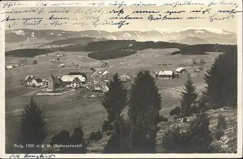 Saig Schwarzwald Panorama / Lenzkirch /Breisgau-Hochschwarzwald LKR