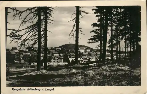 Altenberg Erzgebirge  / Geising /Saechsische Schweiz-Osterzgebirge LKR