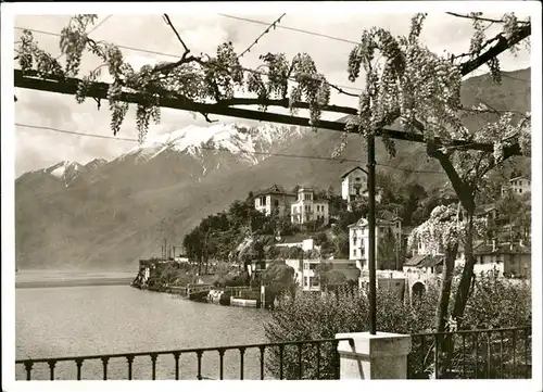 Ascona TI  / Ascona /Bz. Locarno