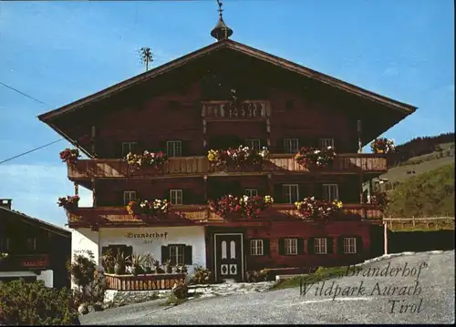 Kitzbuehel Tirol Kitzbuehel Tirol Branderhof * / Kitzbuehel /Tiroler Unterland