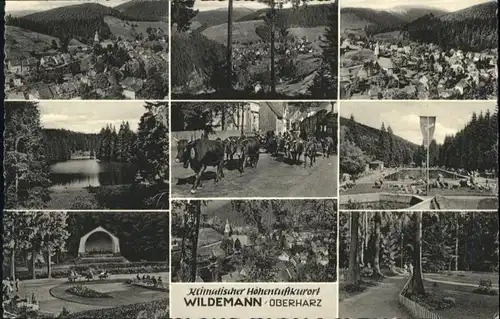 Wildemann Wildemann Harz x / Wildemann Harz /Goslar LKR