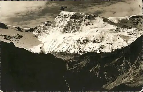 hw01429 Adelboden BE Wildstrubel Kategorie. Adelboden Alte Ansichtskarten