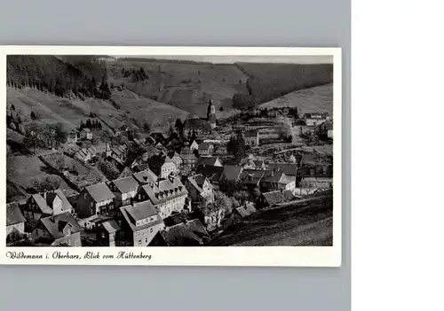 Wildemann Luftaufnahme / Wildemann Harz /Goslar LKR