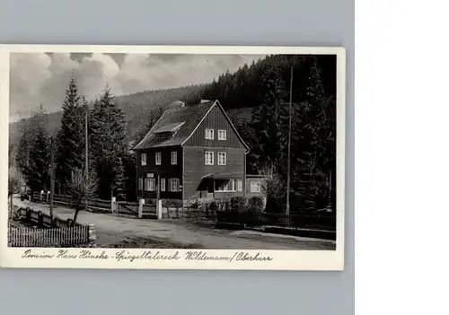 Wildemann Pension Haus Huencke / Wildemann Harz /Goslar LKR