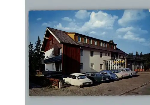 Wildemann Hotel -Pension Haus Vogelsang / Wildemann Harz /Goslar LKR