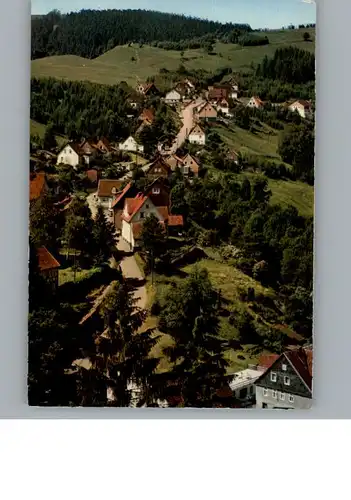 Wildemann Luftaufnahme / Wildemann Harz /Goslar LKR
