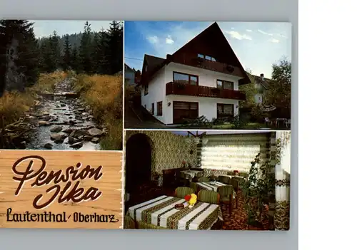 Lautenthal Harz Pension Ilka / Langelsheim /Goslar LKR