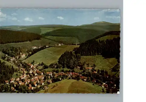 Wildemann Luftaufnahme / Wildemann Harz /Goslar LKR