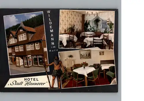 Wildemann Hotel Stadt Hannover / Wildemann Harz /Goslar LKR