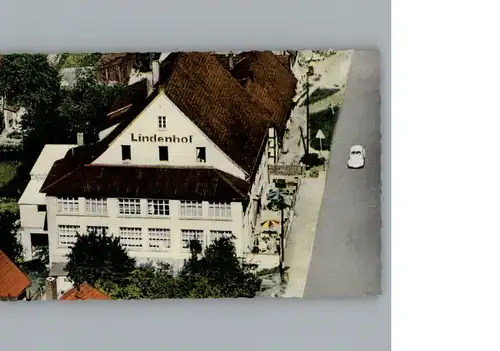 Schieder Hotel Lindenhof  / Schieder-Schwalenberg /Lippe LKR