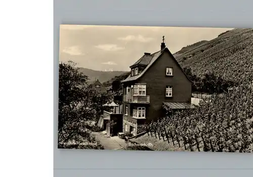 Bacharach Rhein Pension Hermesdorf / Bacharach /Mainz-Bingen LKR