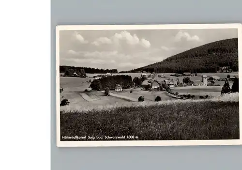 Saig Schwarzwald  / Lenzkirch /Breisgau-Hochschwarzwald LKR