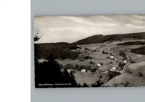 Saig Schwarzwald  / Lenzkirch /Breisgau-Hochschwarzwald LKR