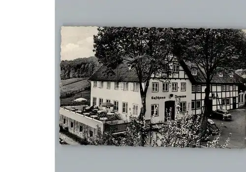 Schieder Hotel zur Herlingsburg / Schieder-Schwalenberg /Lippe LKR