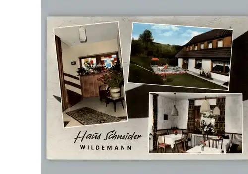 Wildemann Haus Schneider / Wildemann Harz /Goslar LKR